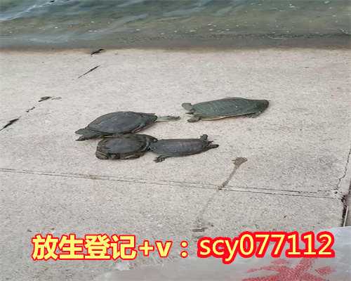 邯郸放生法事功德，邯郸哪里比较适合放生乌龟，邯郸在哪里放生