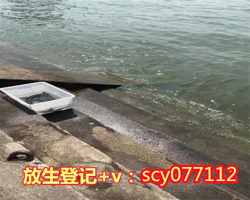 重庆适合放生什么鱼，重庆北滨路有锦鲤跳上河滩