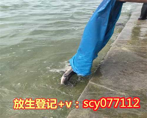 四川经常放生甲鱼，四川市区哪里可以放生小红鱼，四川2023放生节时间表