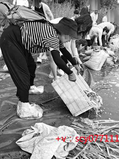 上海在哪代放生鱼，上海天光寺将于7月15日恢复开放