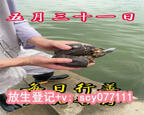贵州放生鸟，甲鱼能放生到河里吗